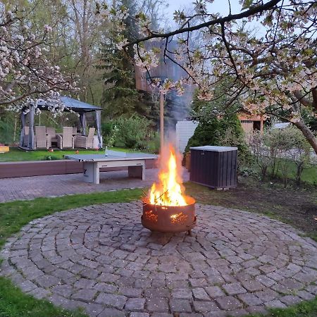 Grosszuegige Ferienwohnung Am Waldesrand Im Seenland Lauta Extérieur photo