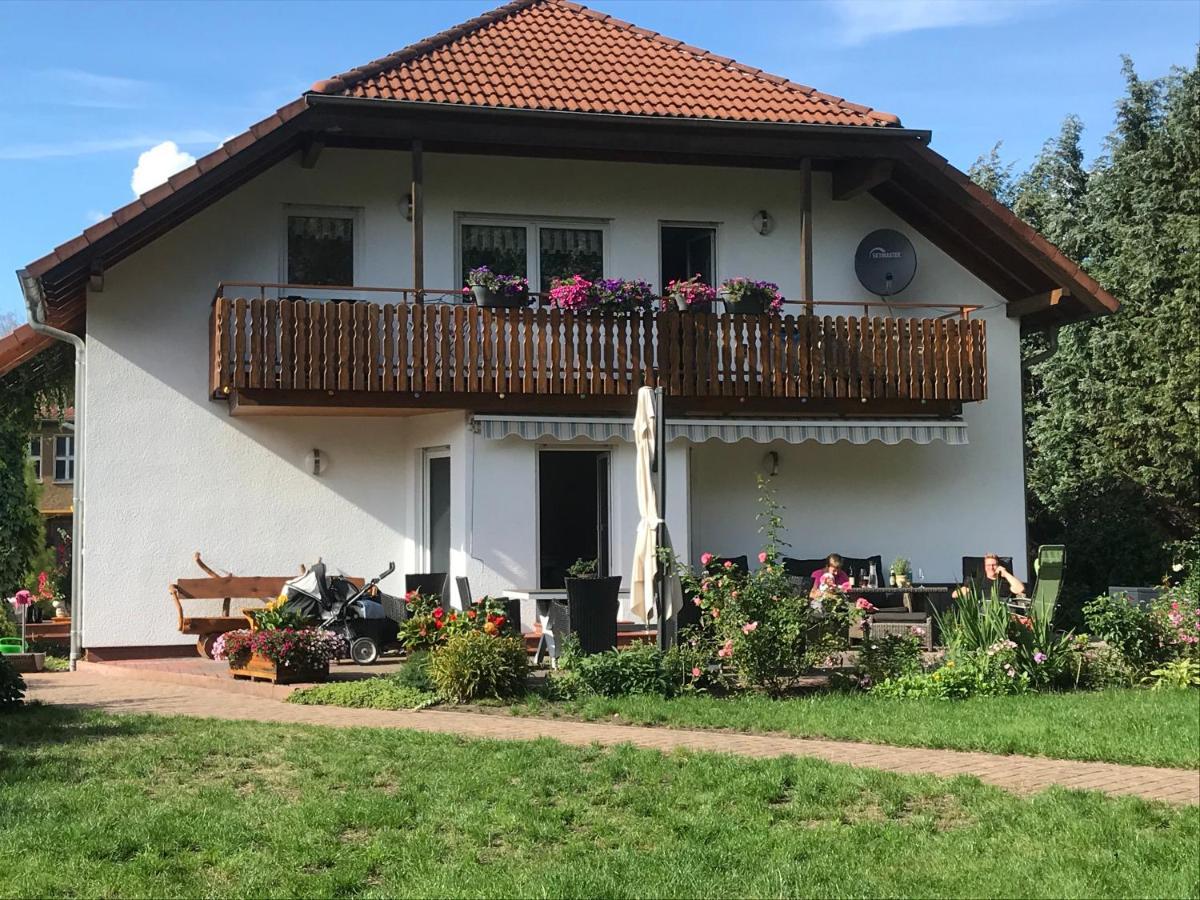 Grosszuegige Ferienwohnung Am Waldesrand Im Seenland Lauta Extérieur photo