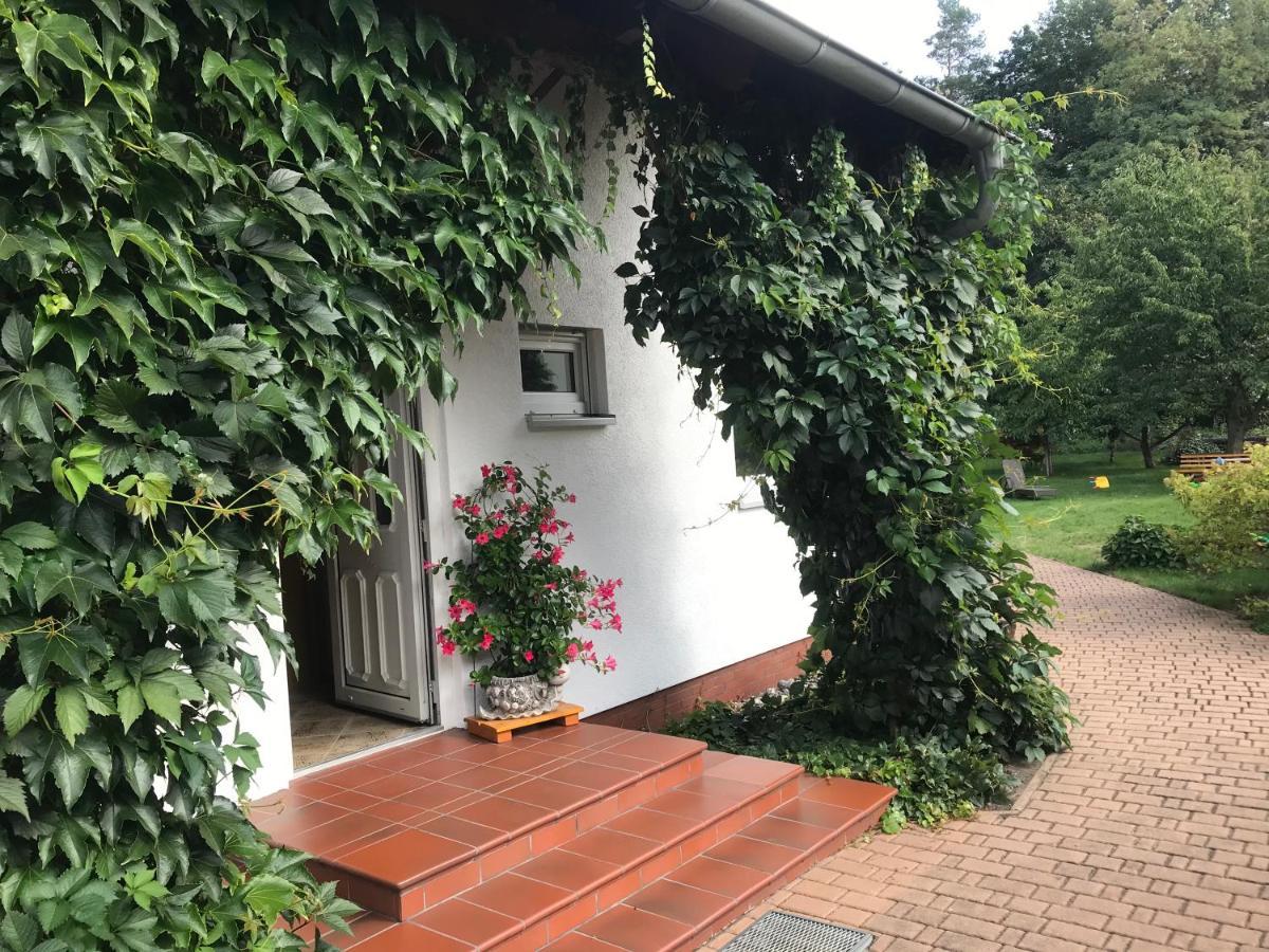 Grosszuegige Ferienwohnung Am Waldesrand Im Seenland Lauta Extérieur photo