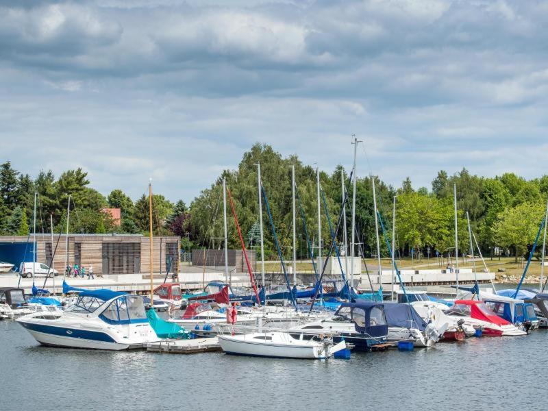 Grosszuegige Ferienwohnung Am Waldesrand Im Seenland Lauta Extérieur photo