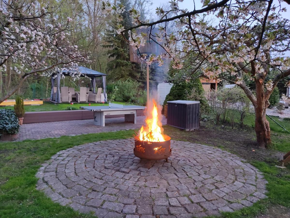 Grosszuegige Ferienwohnung Am Waldesrand Im Seenland Lauta Extérieur photo