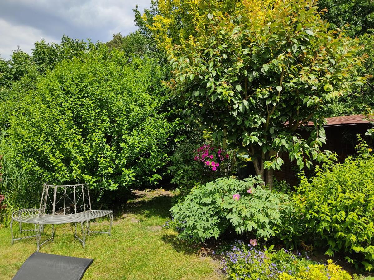 Grosszuegige Ferienwohnung Am Waldesrand Im Seenland Lauta Extérieur photo
