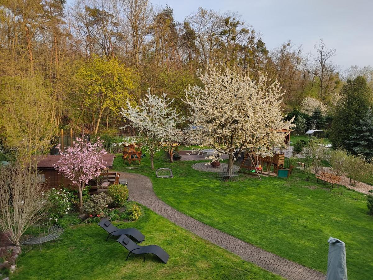 Grosszuegige Ferienwohnung Am Waldesrand Im Seenland Lauta Extérieur photo